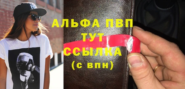 СК Алексин