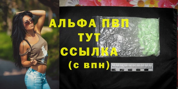 СК Алексин