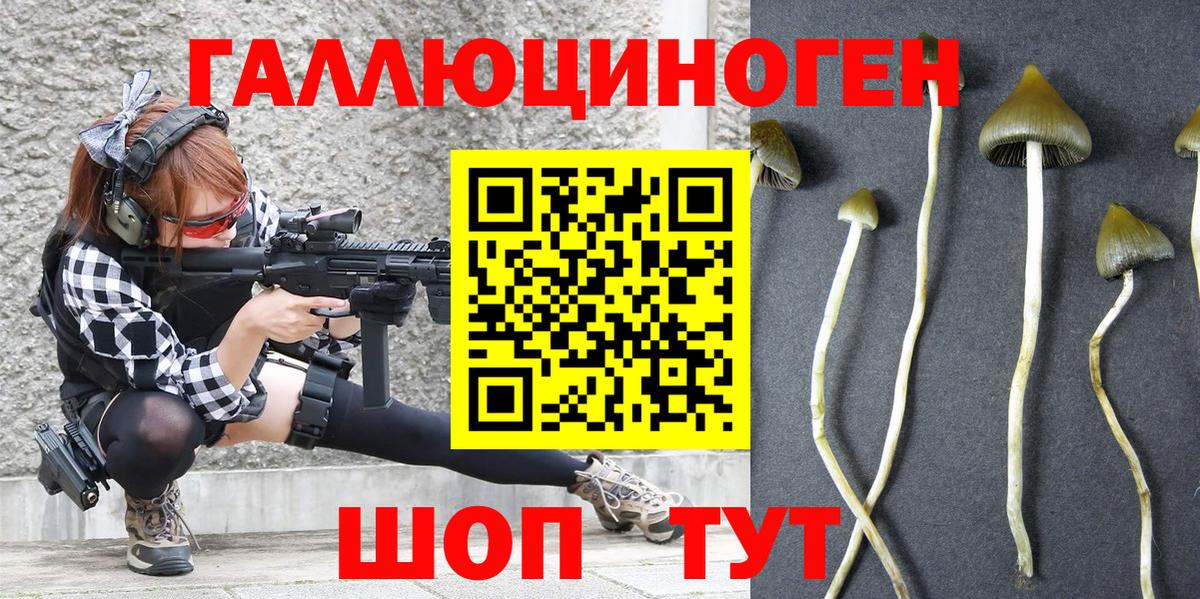 Подольск  Галлюциногенные грибы Psilocybe  Вход с VPN 